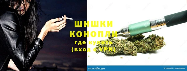 прущие грибы Абаза