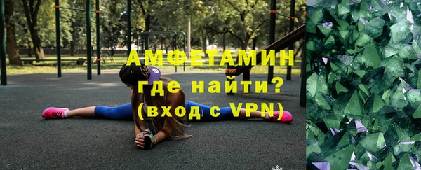 прущие грибы Абаза