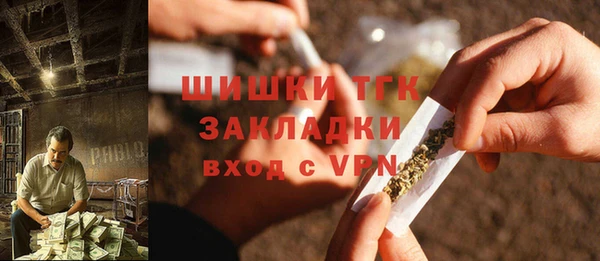 прущие грибы Абаза