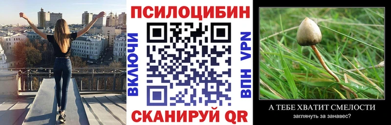 Псилоцибиновые грибы MAGIC MUSHROOMS  Котельнич 